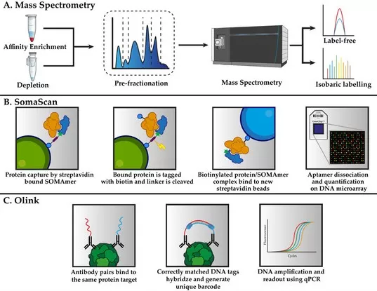 Comparison of Quantitative Proteomics Technologies: Mass Spectrometry, SomaScan, and Olink. Comparison of Quantitative Proteomics Technologies: Mass Spectrometry, SomaScan, and Olink.